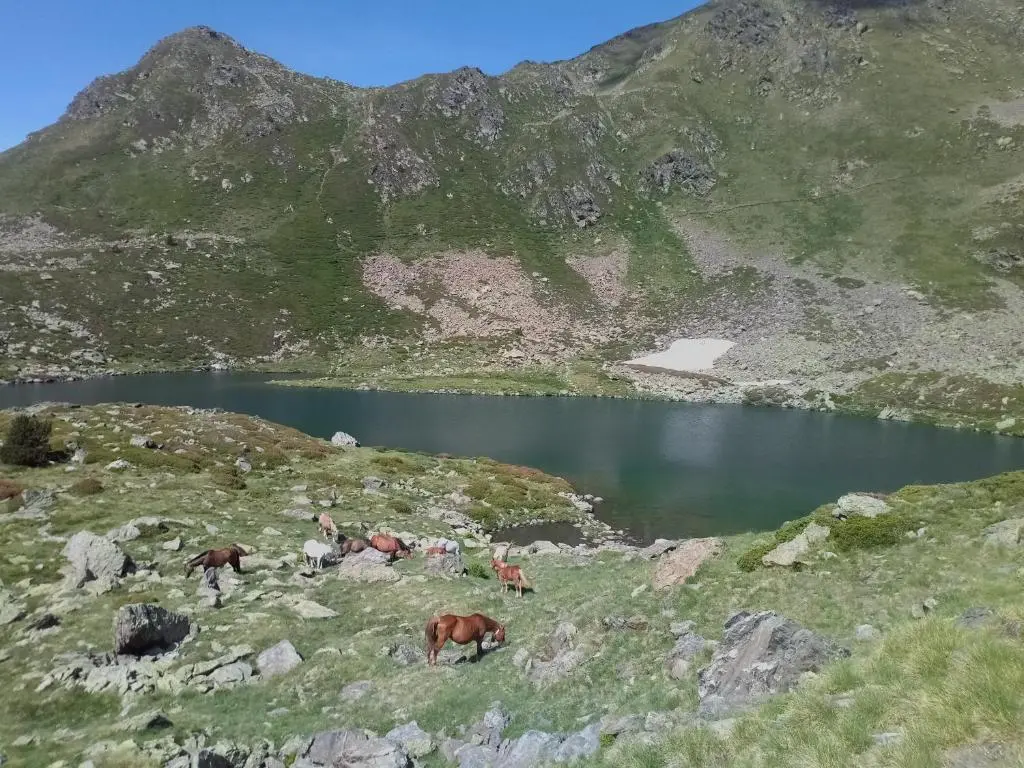 img_id_1056624.webp