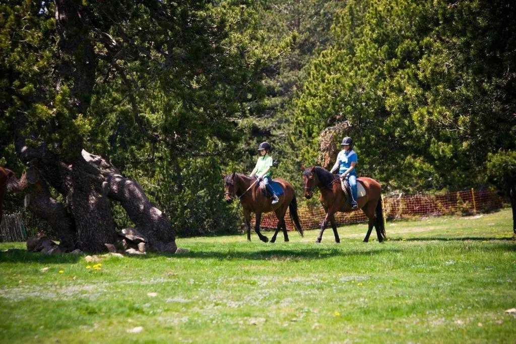 img_id_1060248.webp