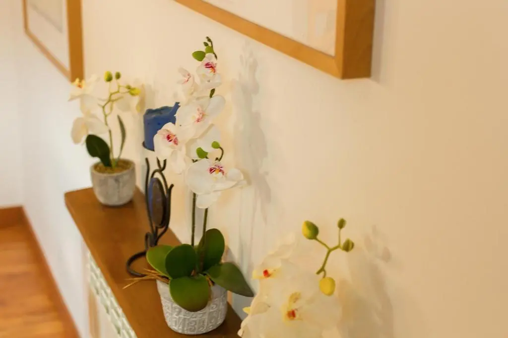 img_id_1063932.webp