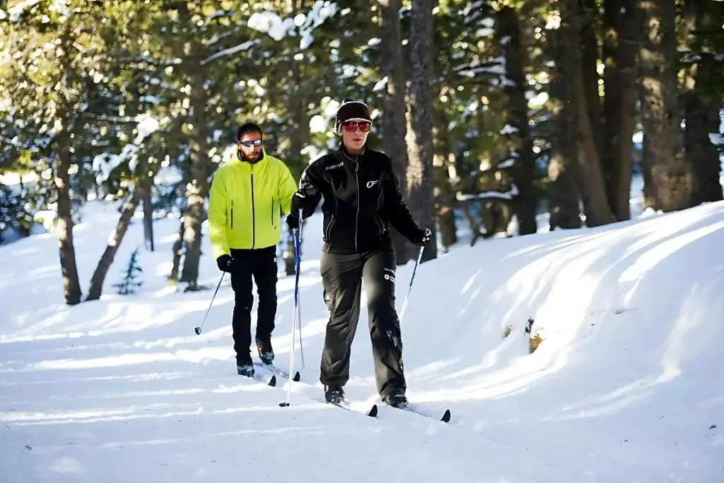 img_id_1066832.webp