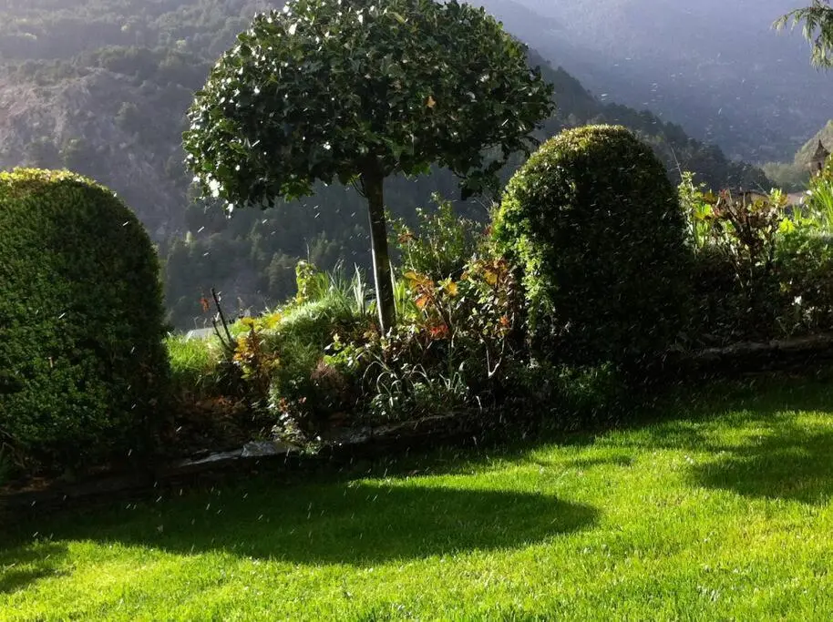 img_id_1070700.webp