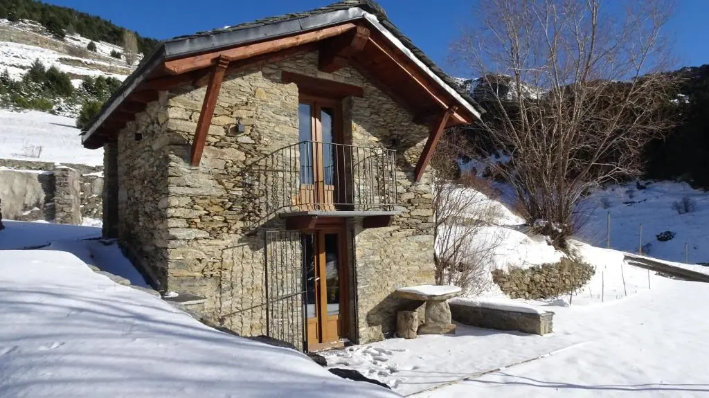 img_id_1092998.webp