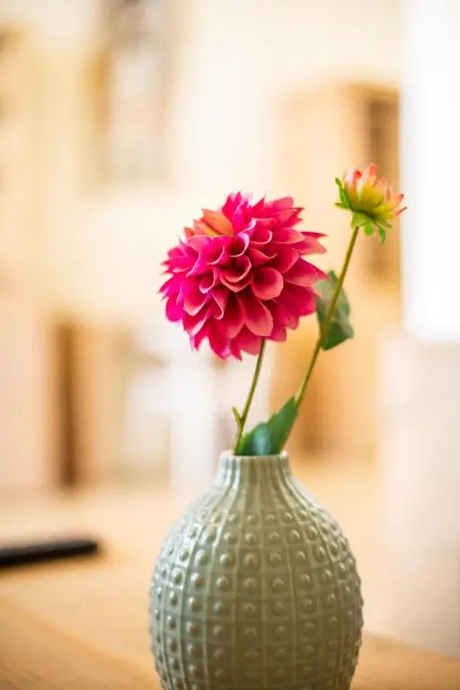 img_id_1097561.webp