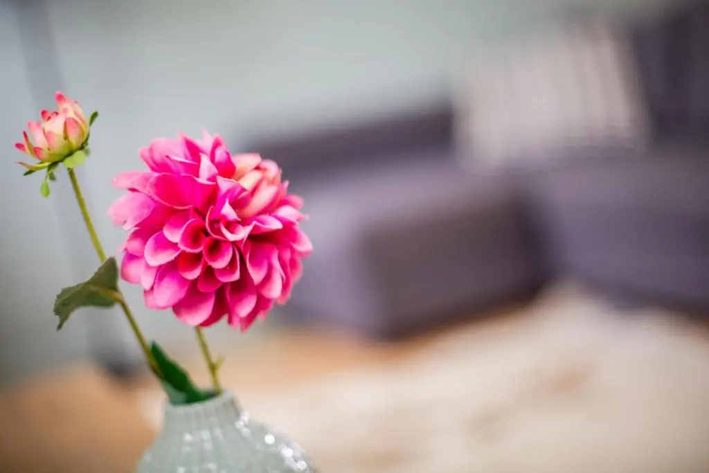 img_id_1097564.webp