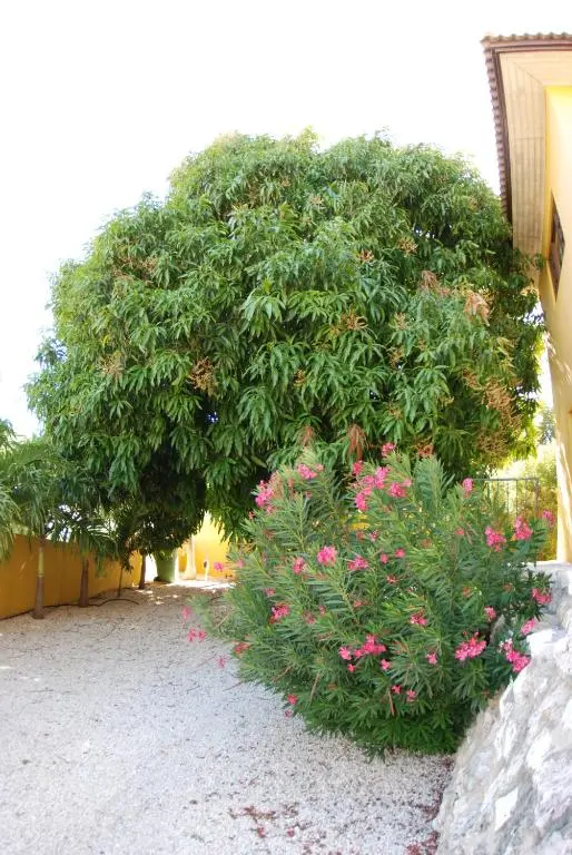 img_id_1099674.webp