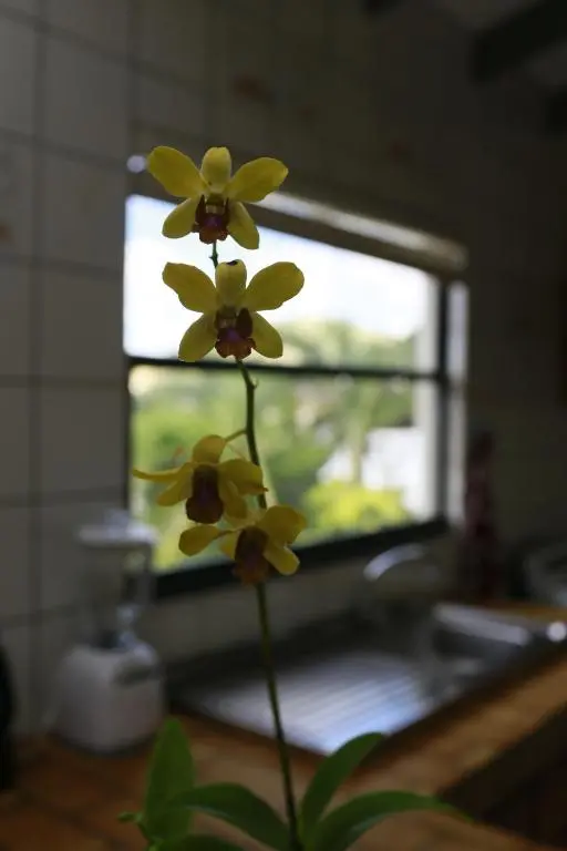 img_id_1100697.webp
