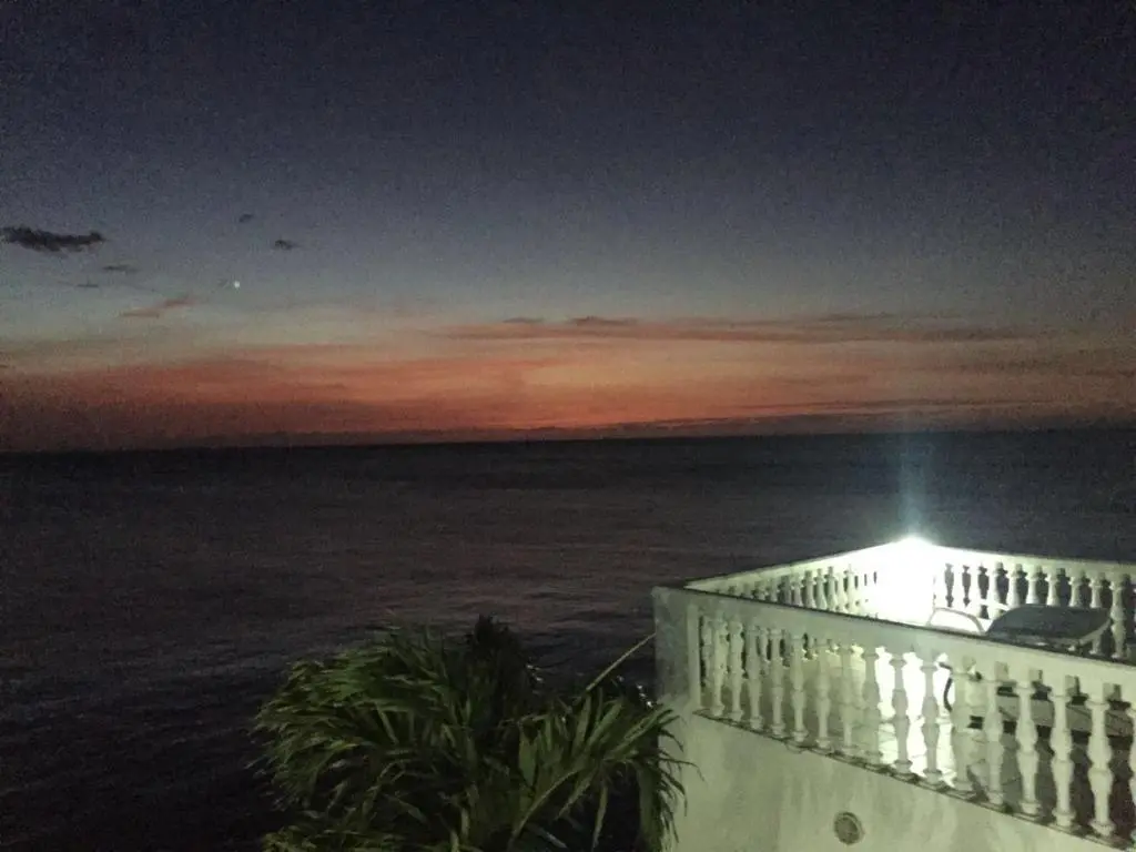 img_id_1101797.webp
