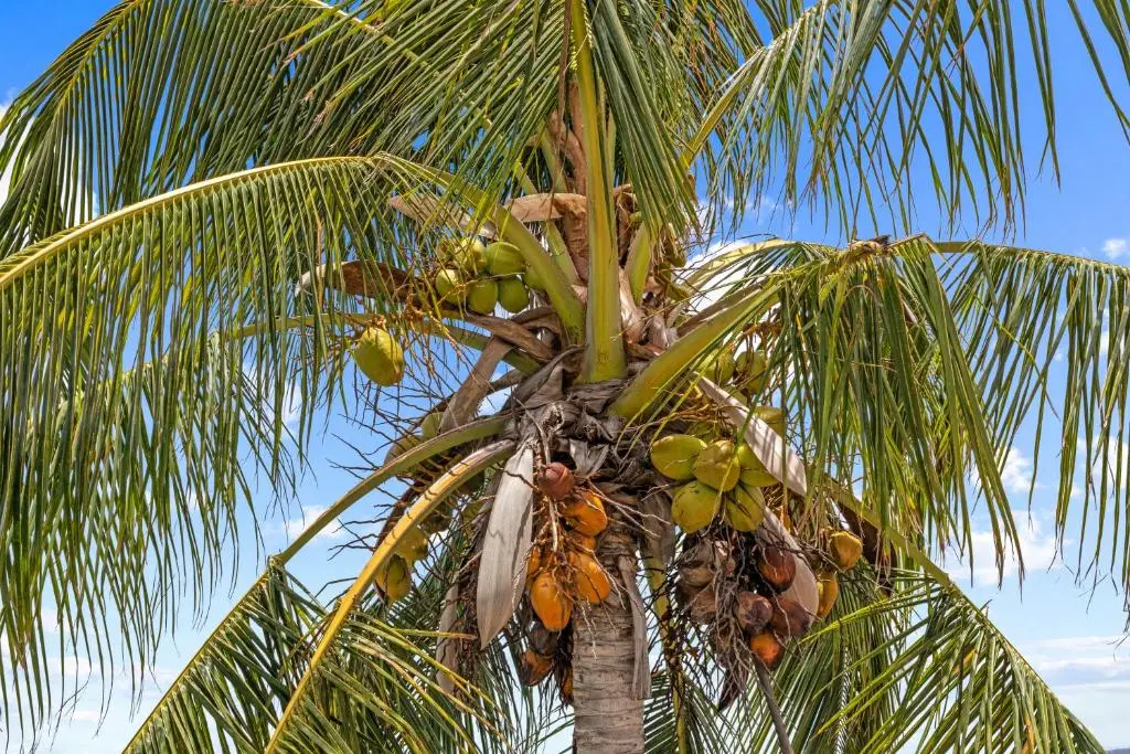 img_id_1101893.webp