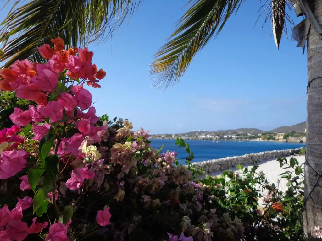 img_id_1102738.webp