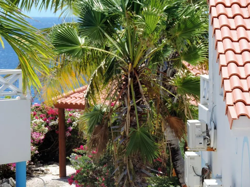 img_id_1102818.webp