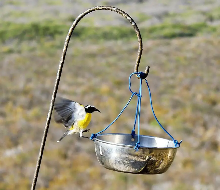img_id_1102904.webp
