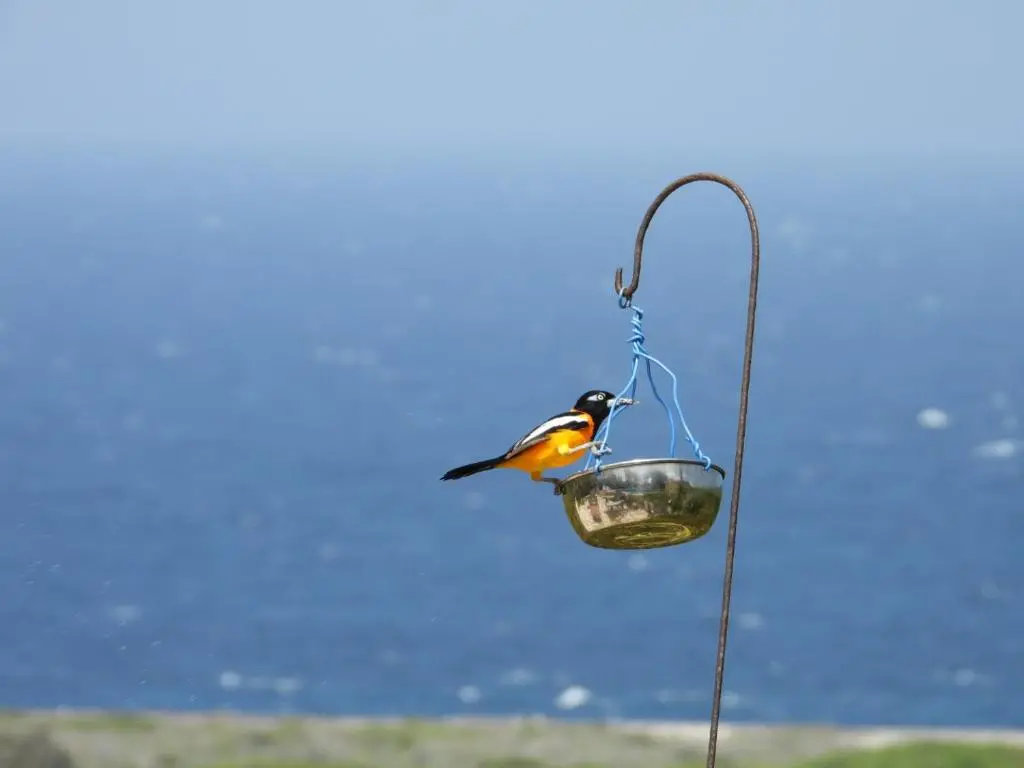 img_id_1102906.webp