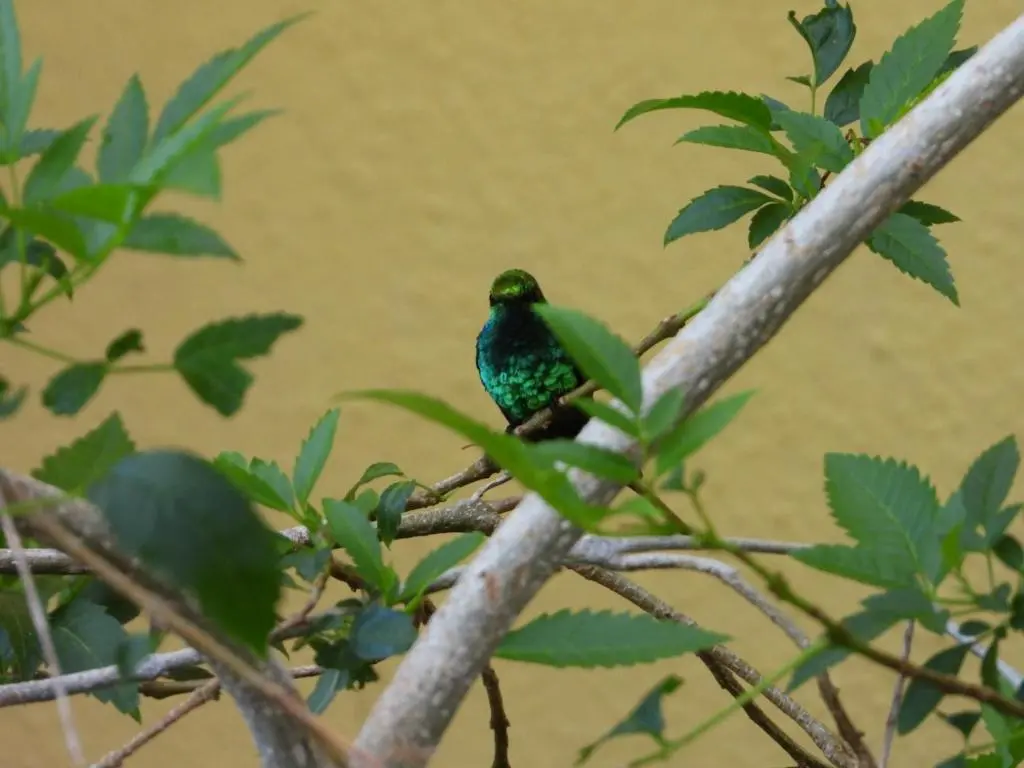 img_id_1102929.webp