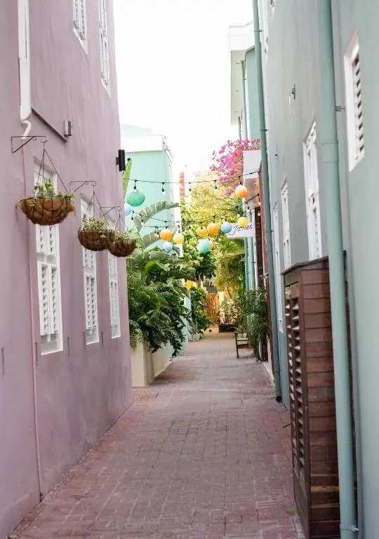 img_id_1103454.webp
