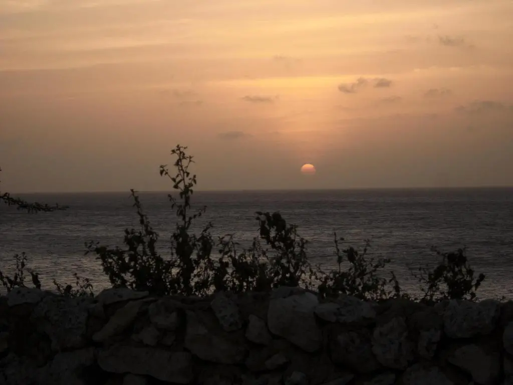 img_id_1103550.webp