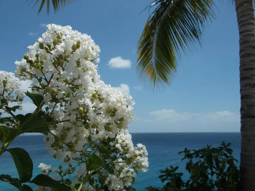 img_id_1104271.webp