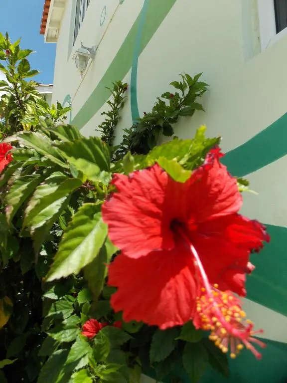 img_id_1104280.webp