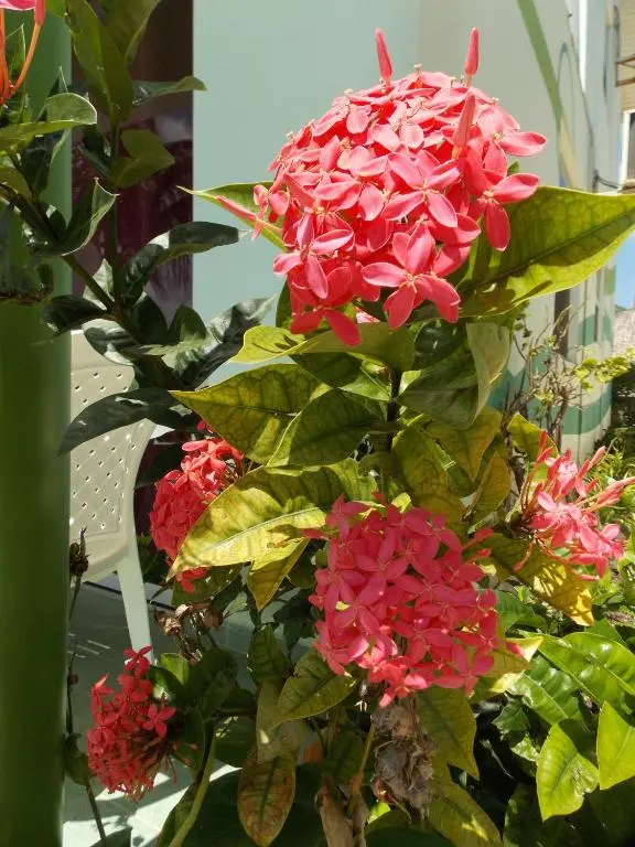 img_id_1104281.webp
