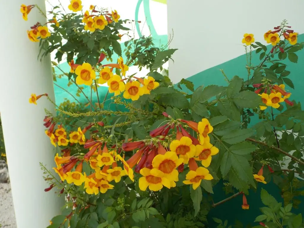 img_id_1104285.webp