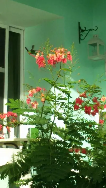 img_id_1104295.webp
