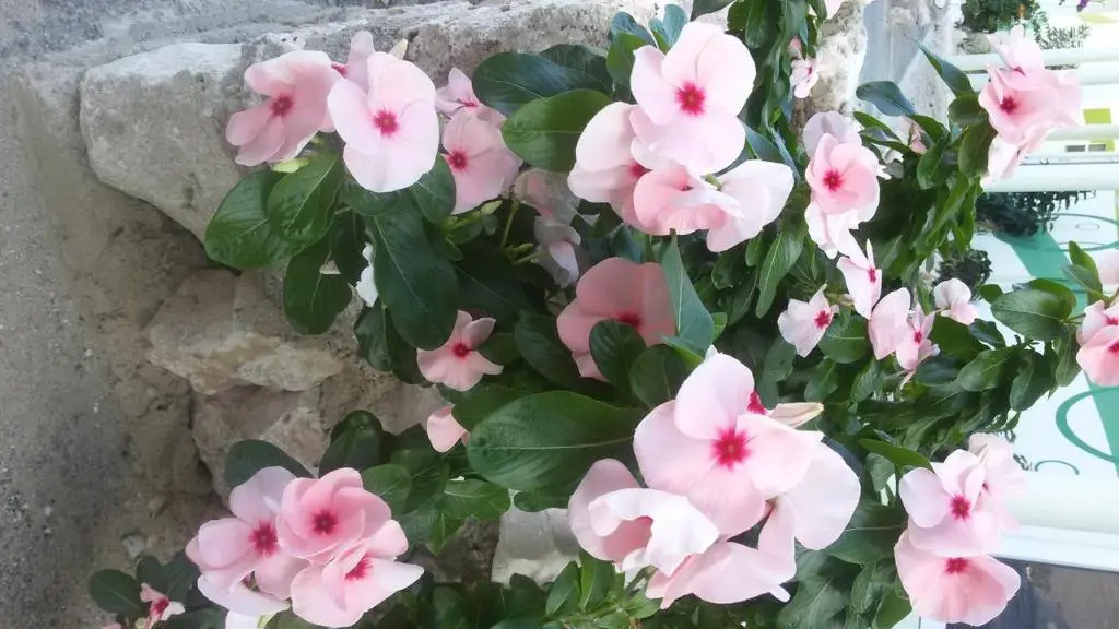 img_id_1104311.webp