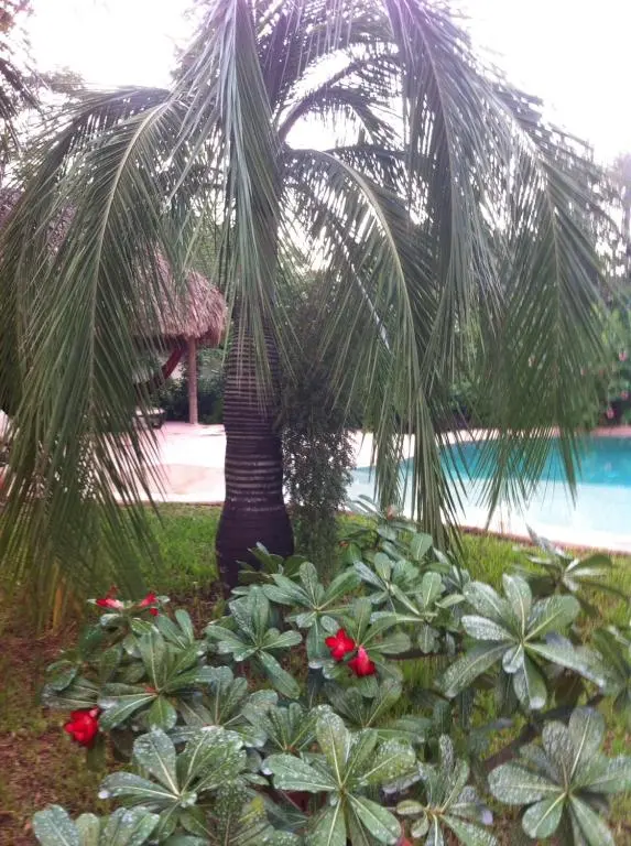 img_id_1106004.webp