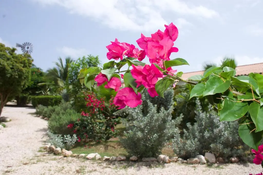 img_id_1106188.webp