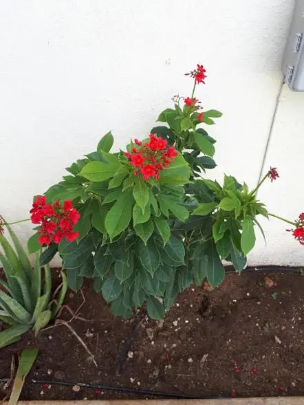 img_id_1106265.webp