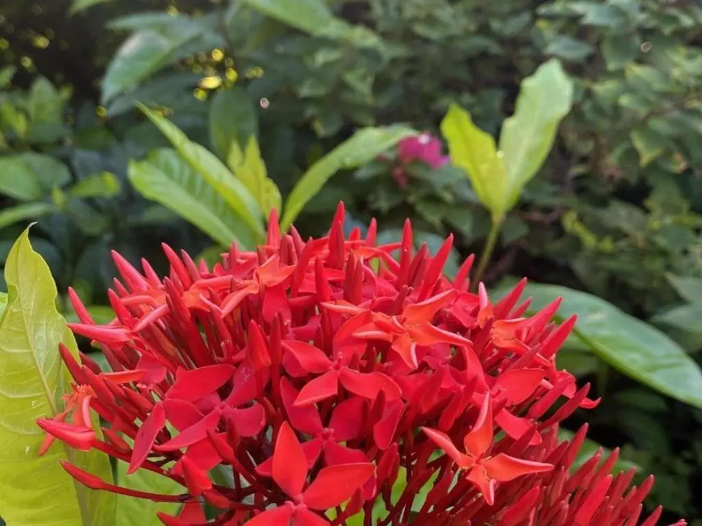 img_id_1106604.webp