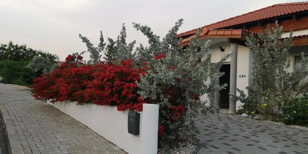 img_id_1108717.webp