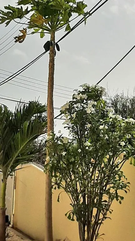 img_id_1109320.webp