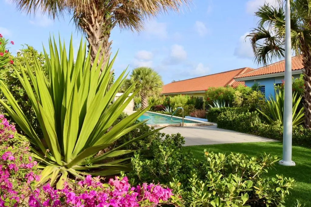 img_id_1109499.webp
