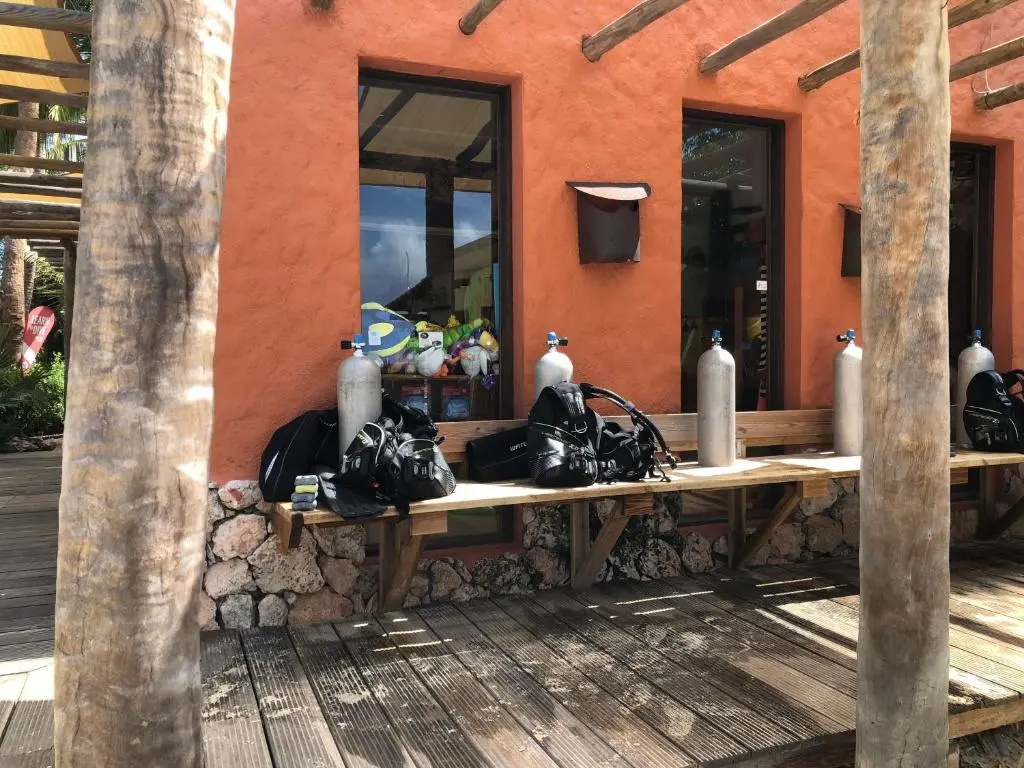 img_id_1109879.webp