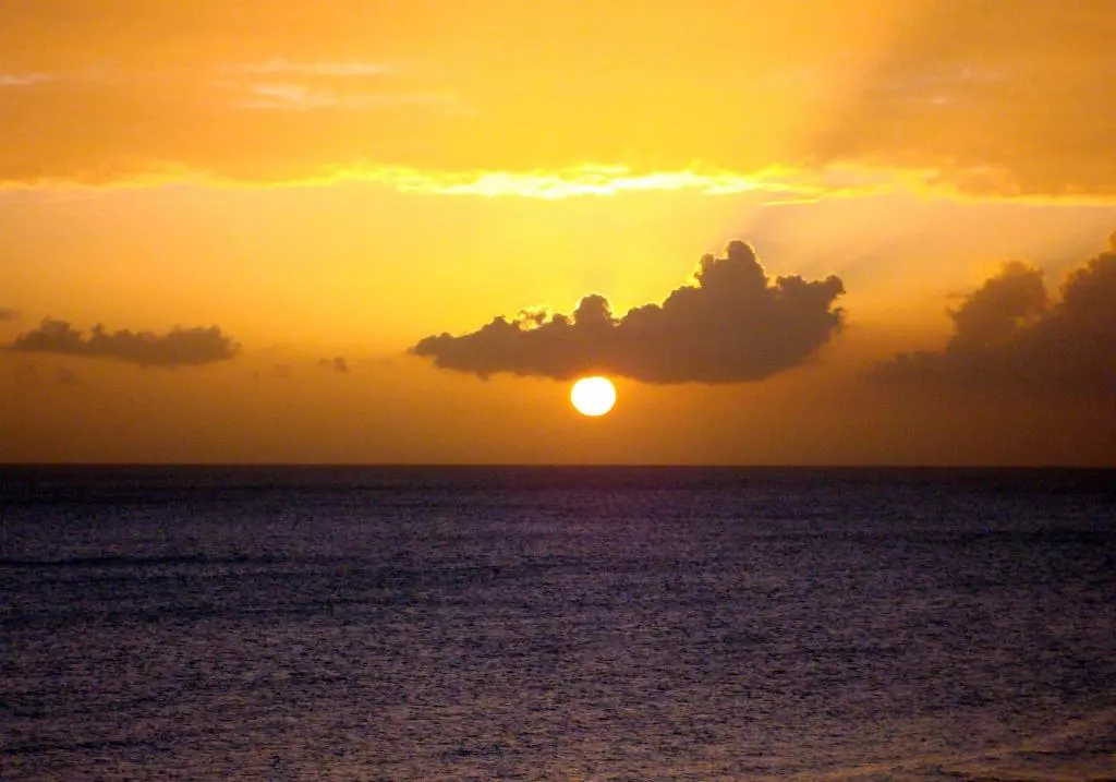 img_id_1110199.webp