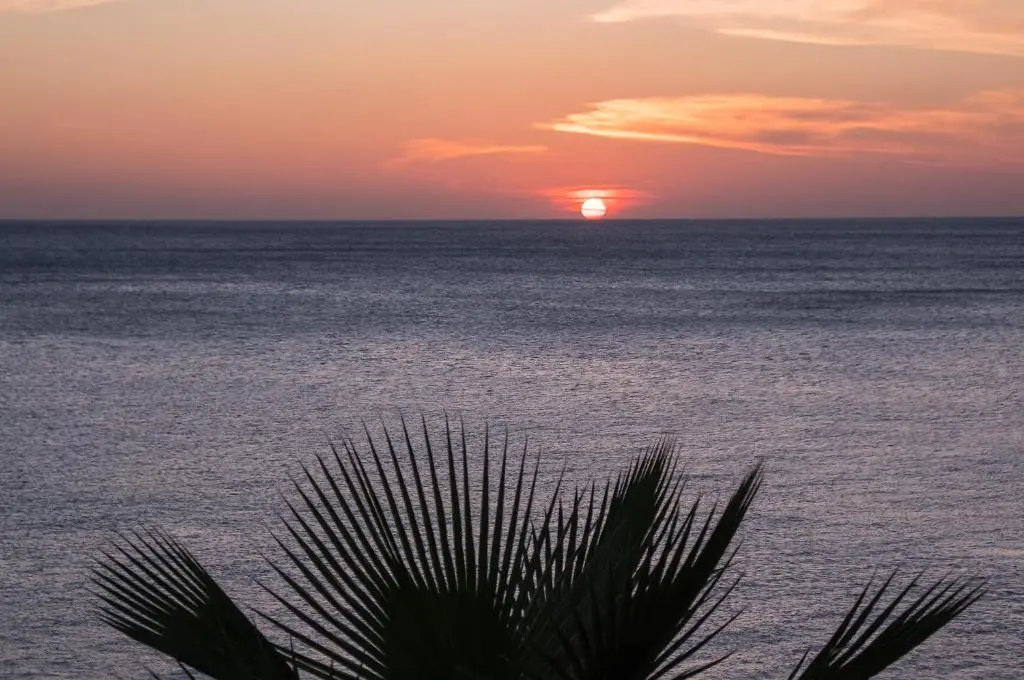 img_id_1110202.webp