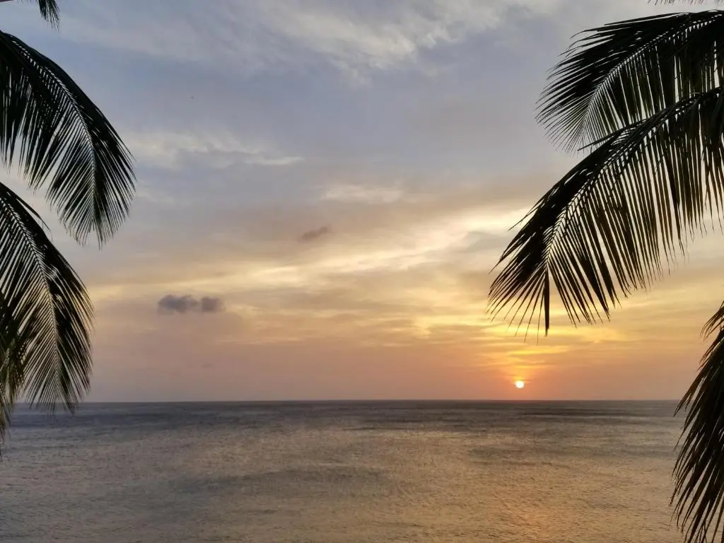 img_id_1111104.webp
