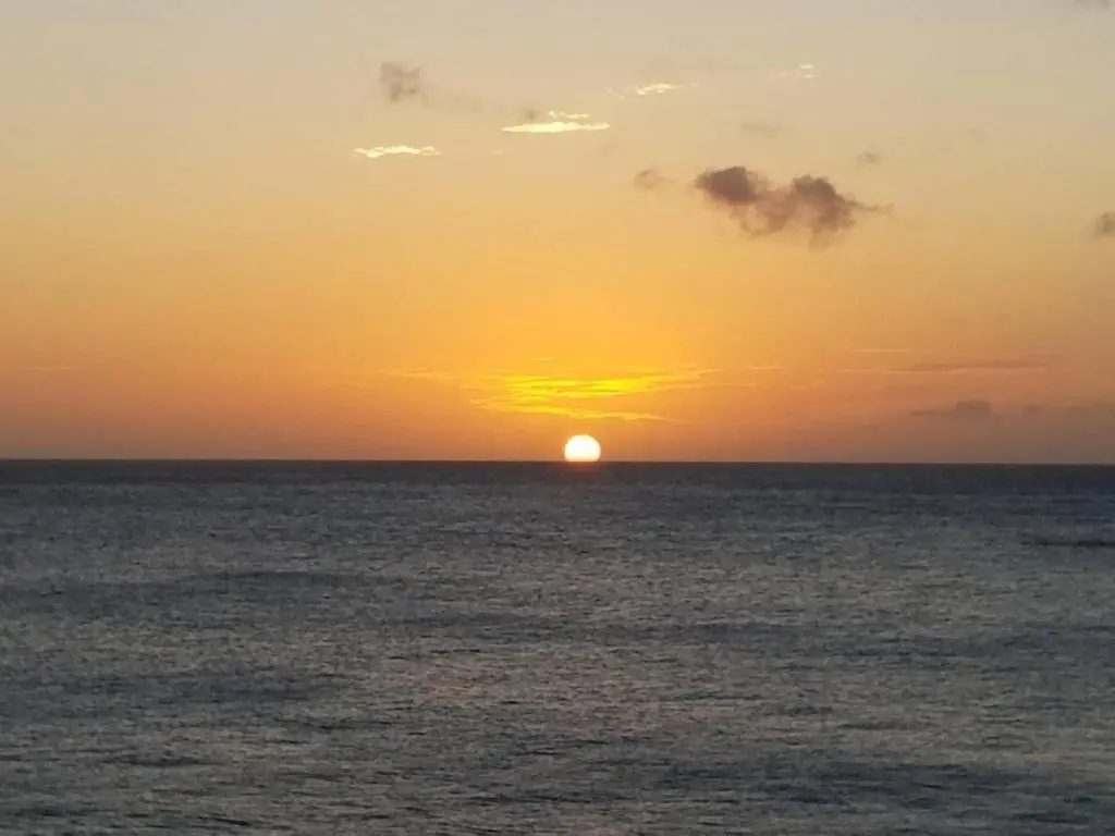 img_id_1111106.webp