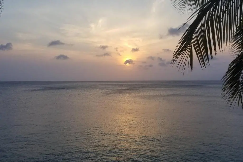img_id_1111149.webp