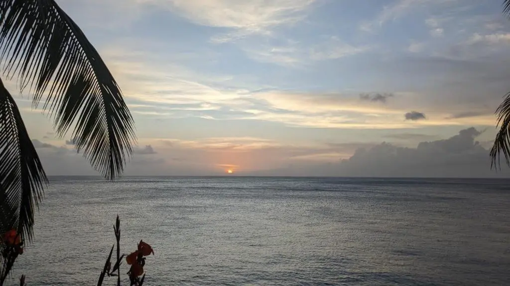 img_id_1111187.webp