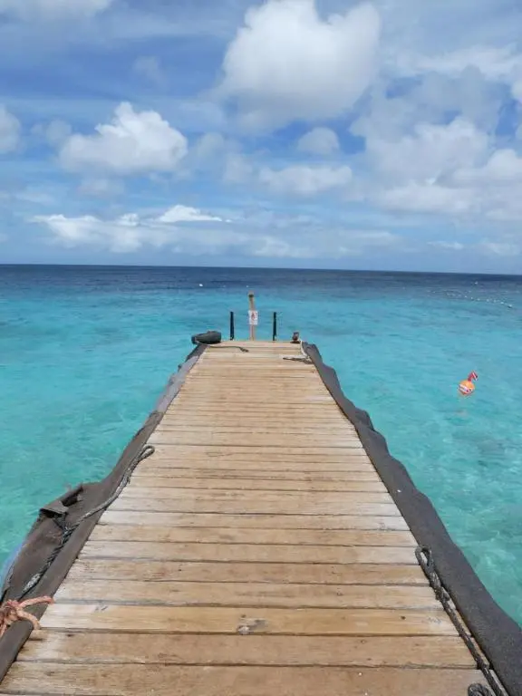img_id_1114890.webp