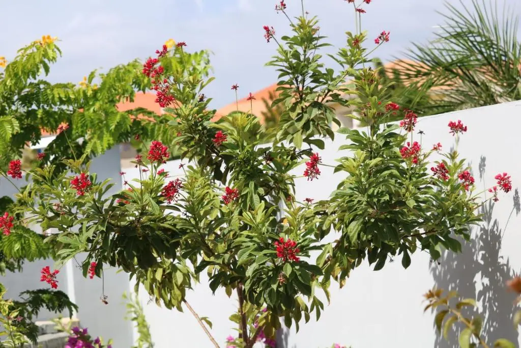 img_id_1116434.webp
