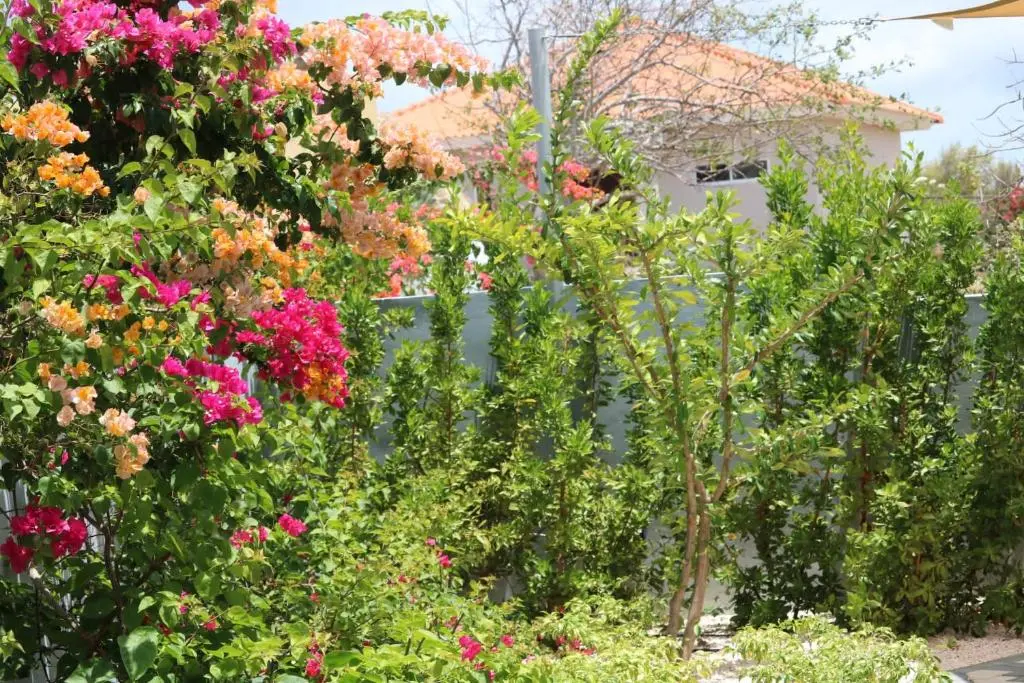 img_id_1116440.webp