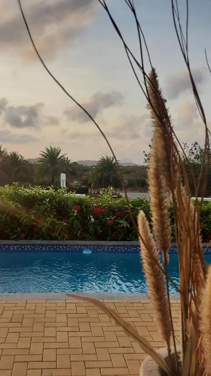 img_id_1116442.webp