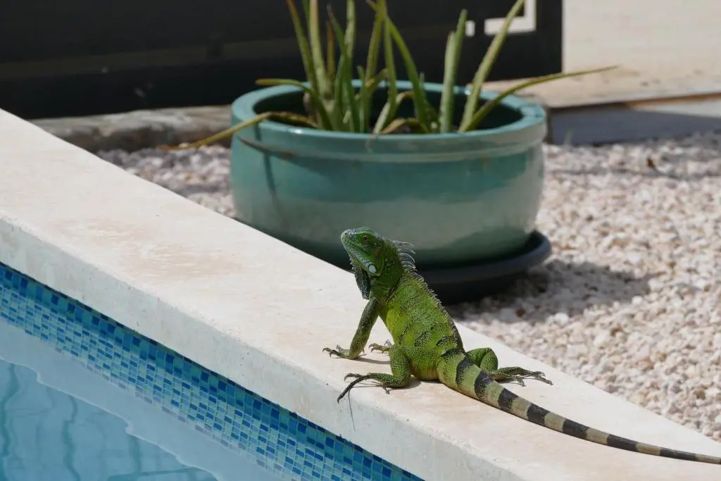 img_id_1117078.webp