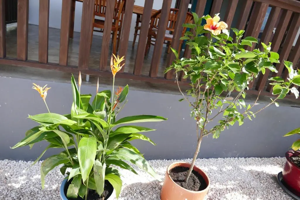 img_id_1117080.webp