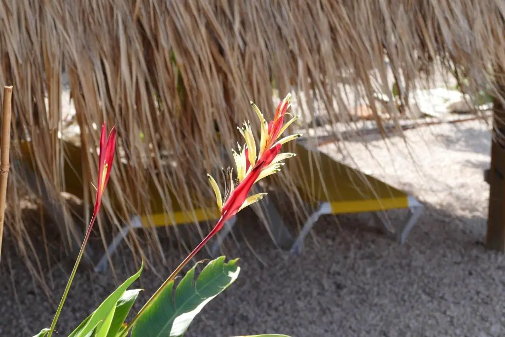 img_id_1117083.webp