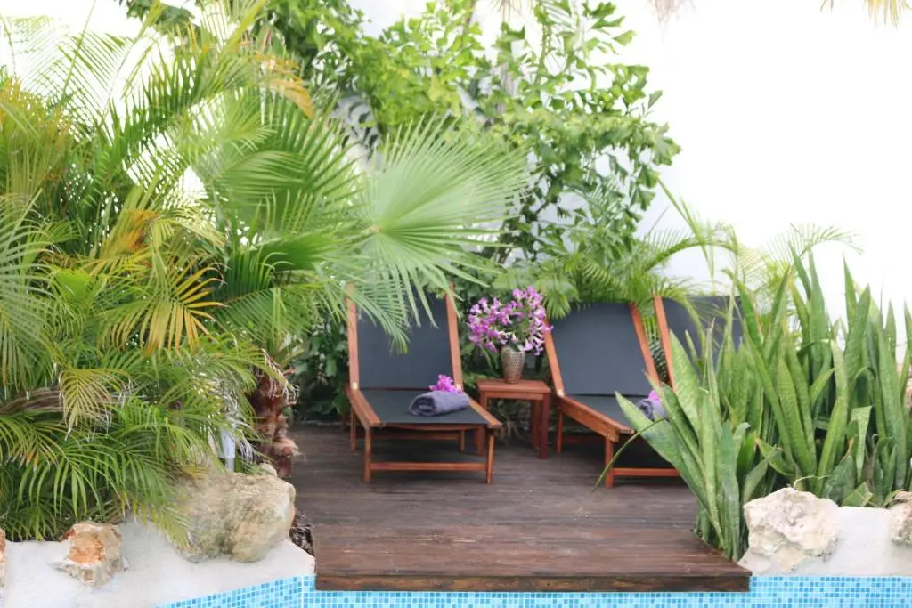 img_id_1117175.webp