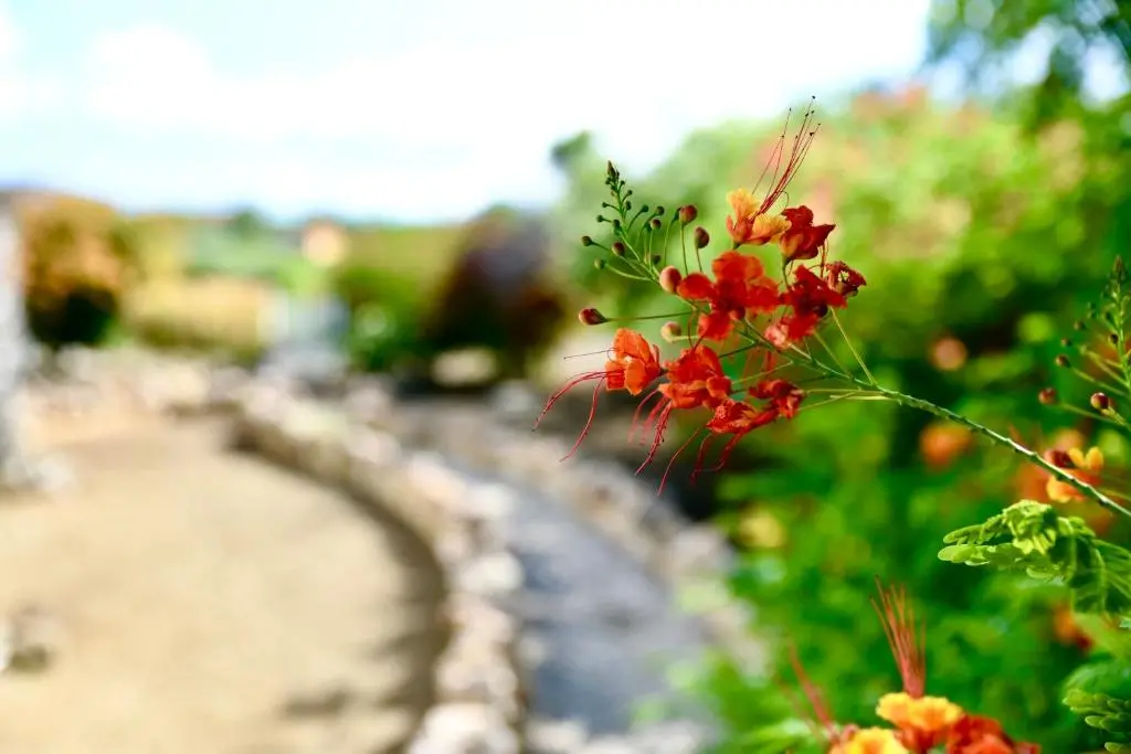 img_id_1117376.webp