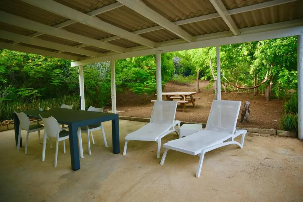 img_id_1117384.webp