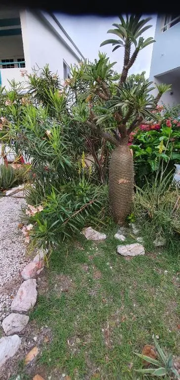 img_id_1118234.webp